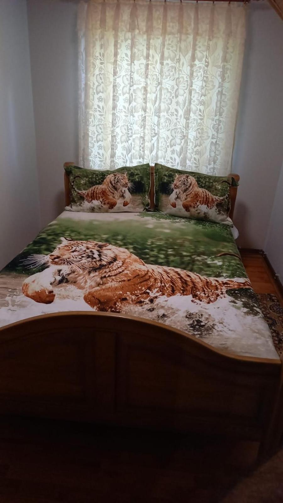 Casa De Vacanta Geoagiu Bai Ngoại thất bức ảnh